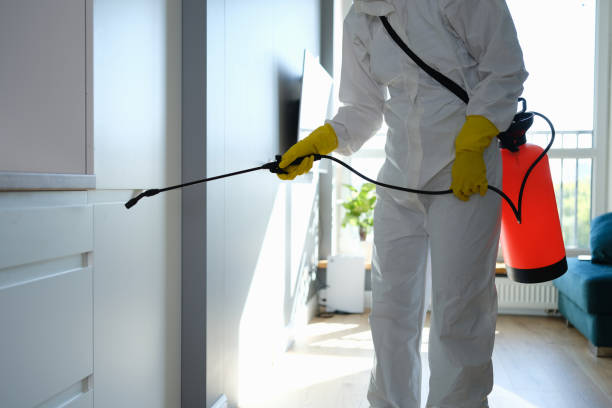 Best Emergency Mold Removal  in Commerce, OK