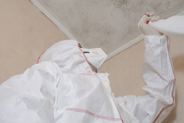 Best Fast Mold Removal  in Commerce, OK