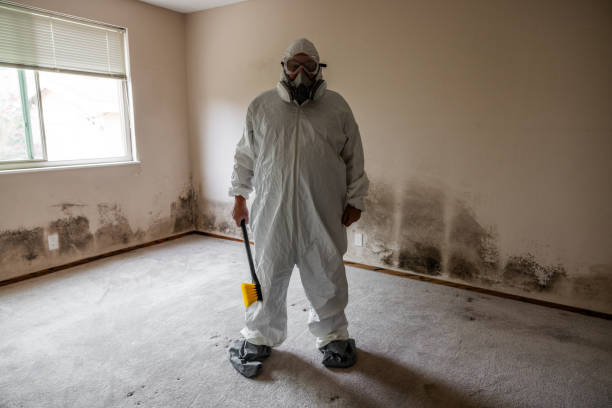 Crawl Space Mold Removal in Commerce, OK