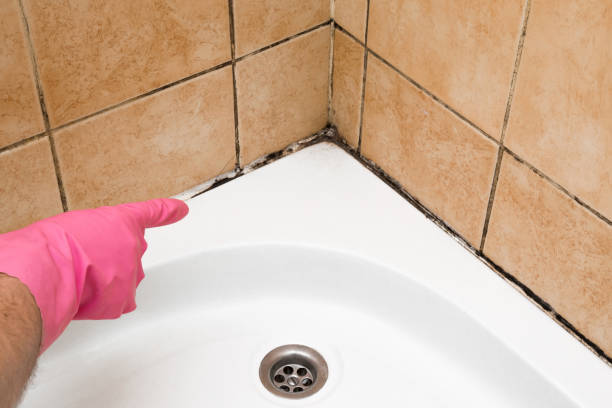 Best Commercial Mold Removal  in Commerce, OK